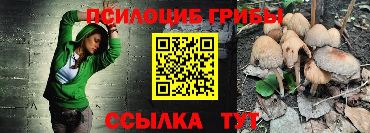 Галлюциногенные грибы Psilocybine cubensis  Вход с VPN  Кандалакша 