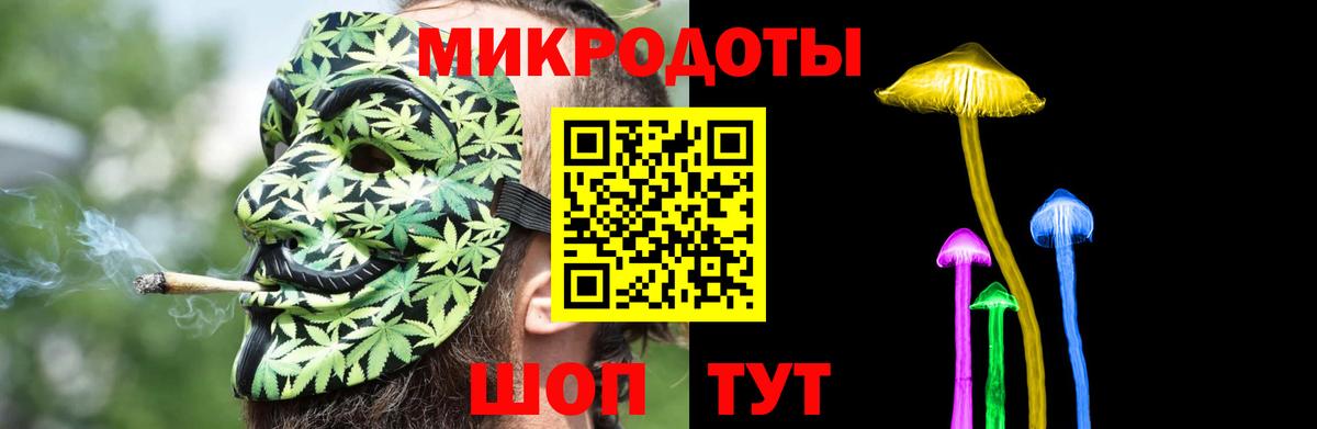 Псилоцибиновые грибы мицелий Кандалакша